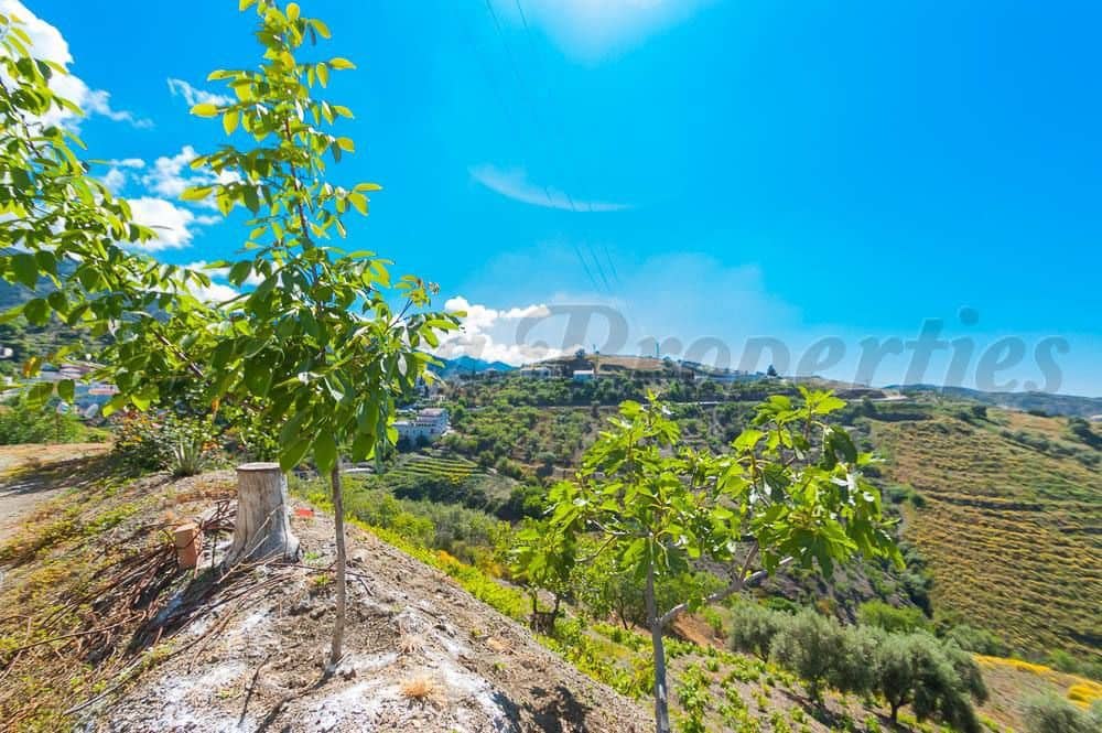 Finca/Herregård til salgs i Sedella - € 265 000 (Ref: 10075767)