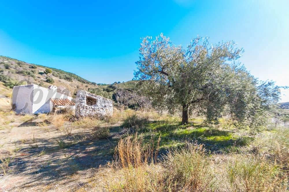 Ubebygd land til salgs i Sedella - € 180 000 (Ref: 10075768)