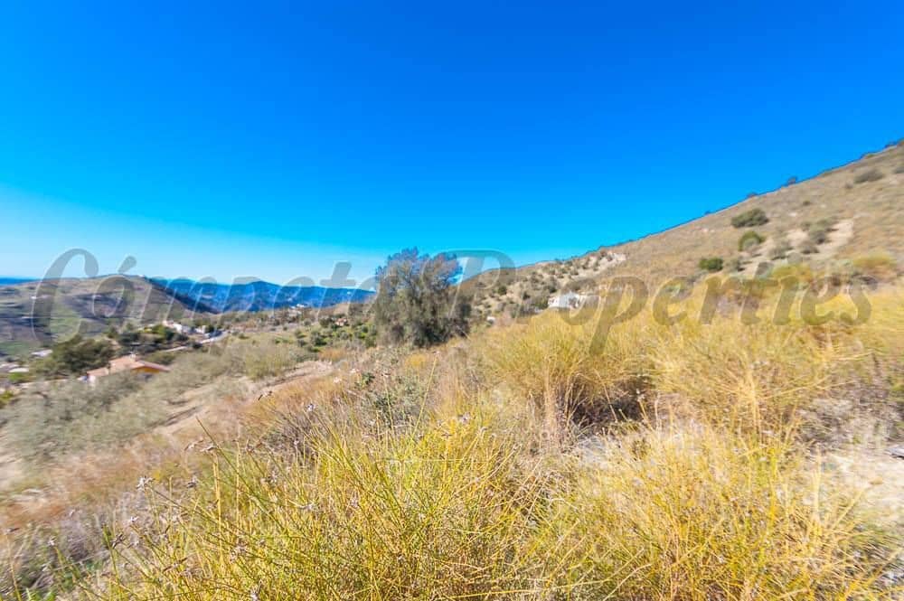 Ubebygd land til salgs i Sedella - € 180 000 (Ref: 10075768)