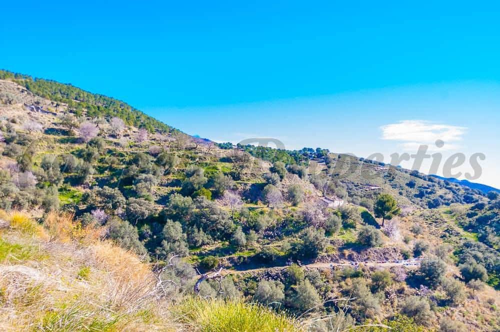 Ubebygd land til salgs i Sedella - € 180 000 (Ref: 10075768)