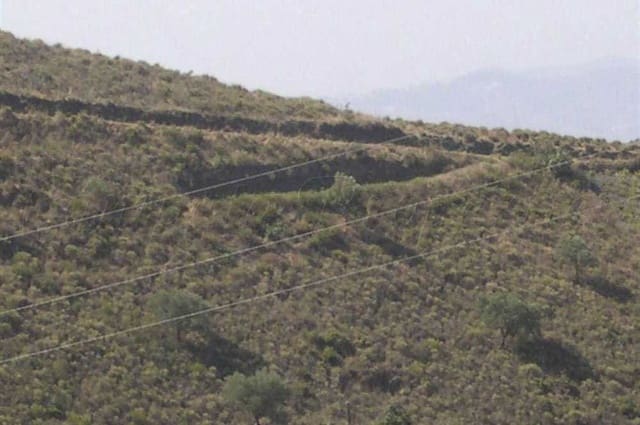 Terre non Aménagée à vendre à Sedella - 69 000 € (Ref: 10075769)
