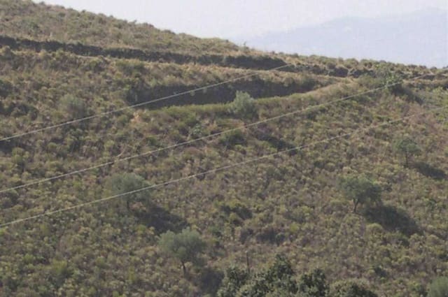 Terre non Aménagée à vendre à Sedella - 69 000 € (Ref: 10075769)