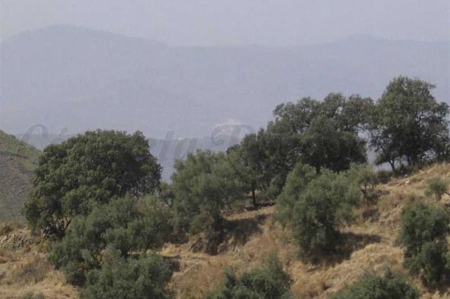 Terre non Aménagée à vendre à Sedella - 72 000 € (Ref: 10075770)
