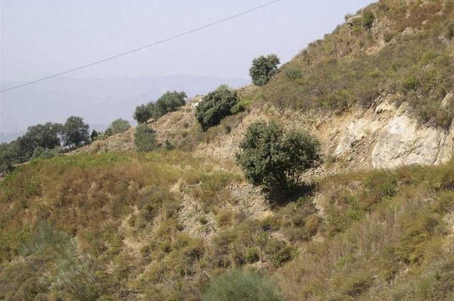 Terre non Aménagée à vendre à Sedella - 72 000 € (Ref: 10075770)
