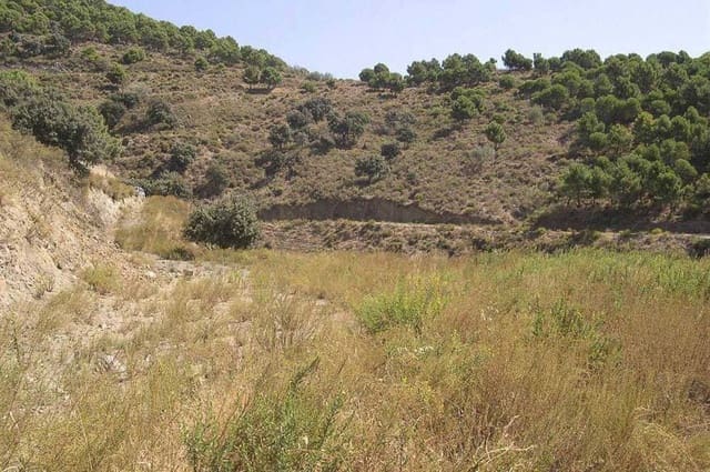 Terre non Aménagée à vendre à Sedella - 72 000 € (Ref: 10075770)