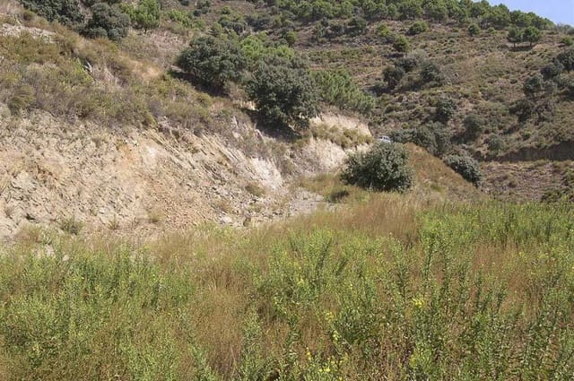 Terre non Aménagée à vendre à Sedella - 72 000 € (Ref: 10075770)