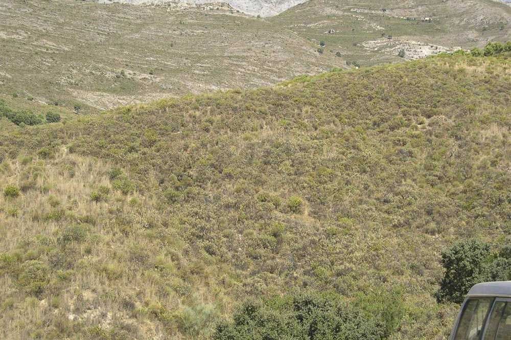 Undeveloped Land for sale in Sedella - € 107,000 (Ref: 10075771)