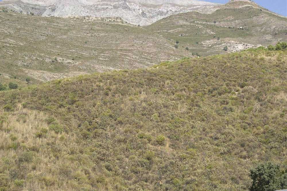 Undeveloped Land for sale in Sedella - € 107,000 (Ref: 10075771)