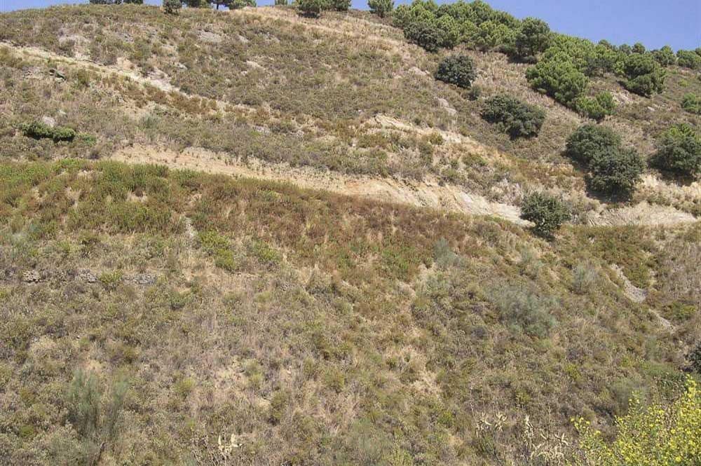 Undeveloped Land for sale in Sedella - € 107,000 (Ref: 10075771)