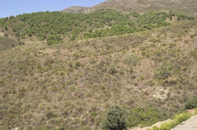 Undeveloped Land for sale in Sedella - € 107,000 (Ref: 10075771)