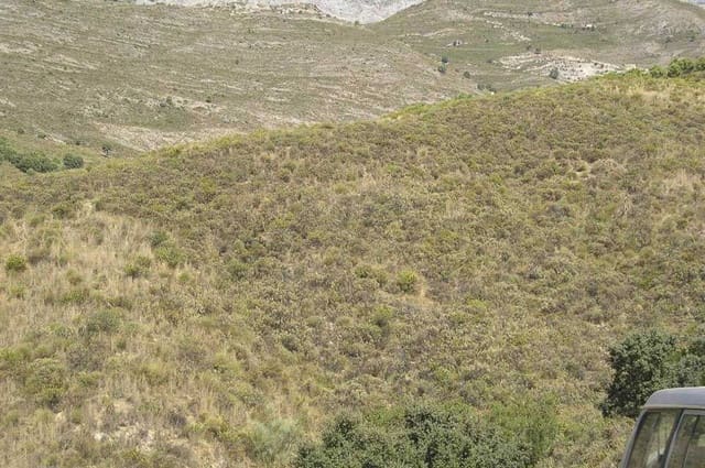 Undeveloped Land for sale in Sedella - € 107,000 (Ref: 10075771)