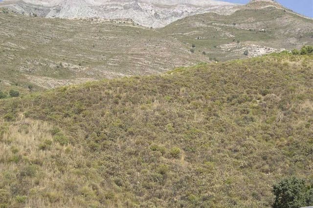 Undeveloped Land for sale in Sedella - € 107,000 (Ref: 10075771)