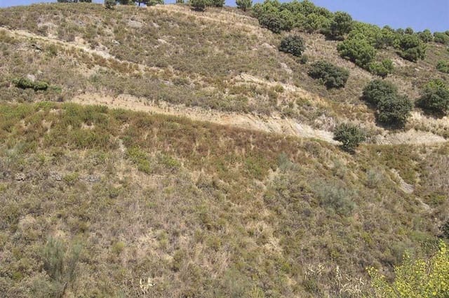 Undeveloped Land for sale in Sedella - € 107,000 (Ref: 10075771)