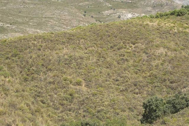 Undeveloped Land for sale in Sedella - € 107,000 (Ref: 10075771)
