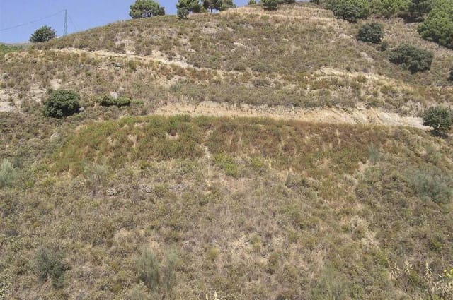 Undeveloped Land for sale in Sedella - € 107,000 (Ref: 10075771)