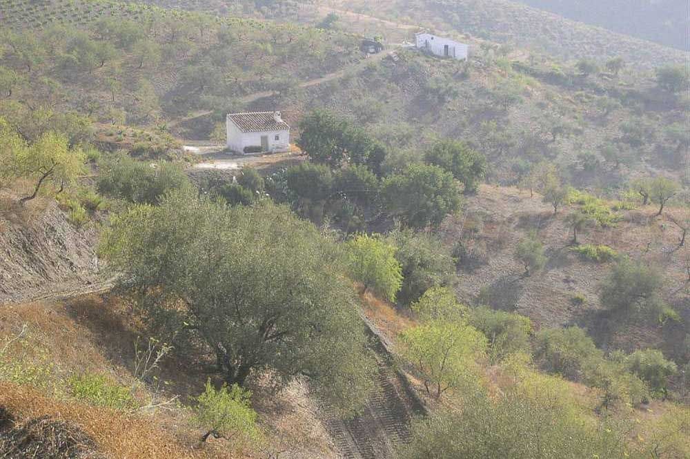 Ubebygd land til salgs i Sedella - € 130 000 (Ref: 10075772)