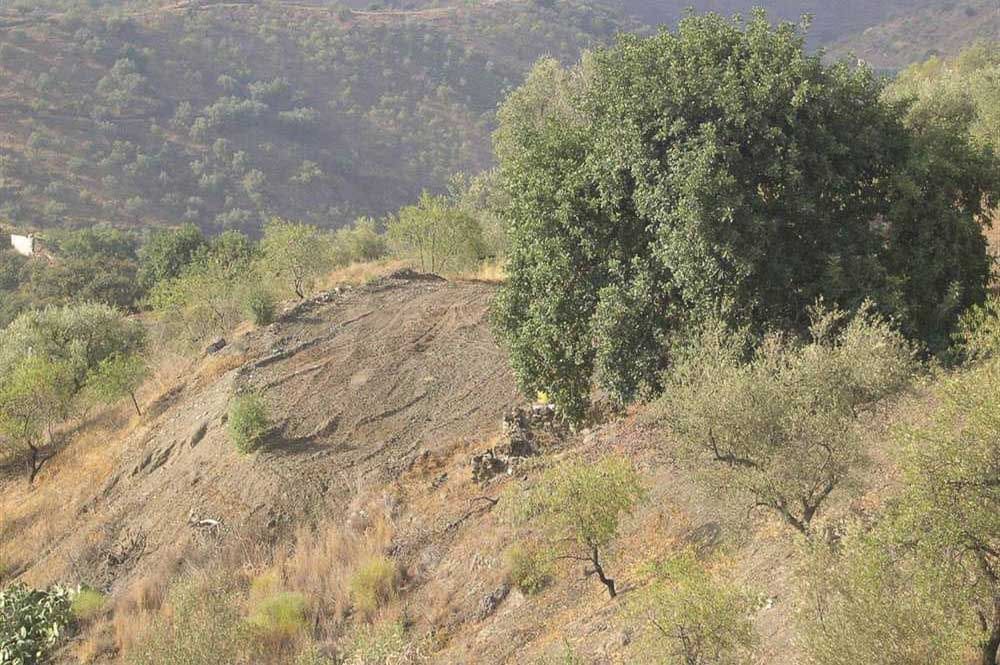 Ubebygd land til salgs i Sedella - € 130 000 (Ref: 10075772)