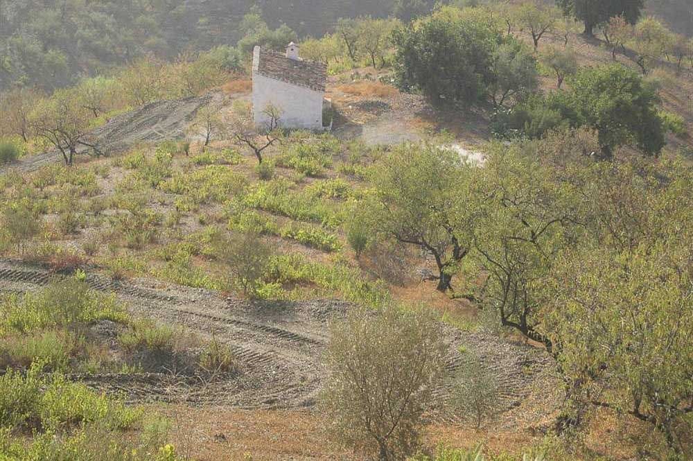 Ubebygd land til salgs i Sedella - € 130 000 (Ref: 10075772)