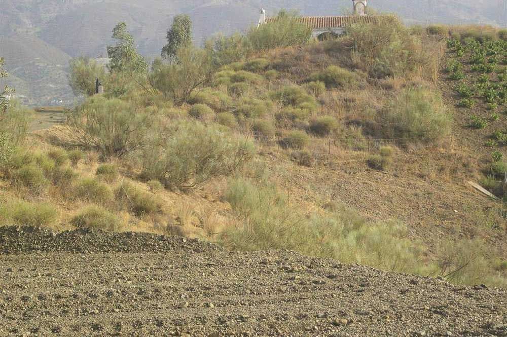 Ubebygd land til salgs i Sedella - € 130 000 (Ref: 10075772)