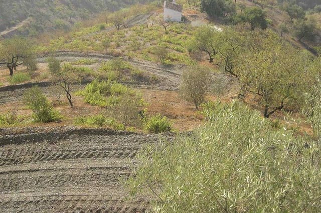 Grunde uden byggetilladelser til salg i Sedella - € 130.000 (Ref: 10075772)