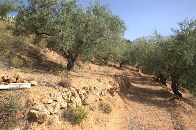 Terre non Aménagée à vendre à Sedella - 46 000 € (Ref: 10075774)