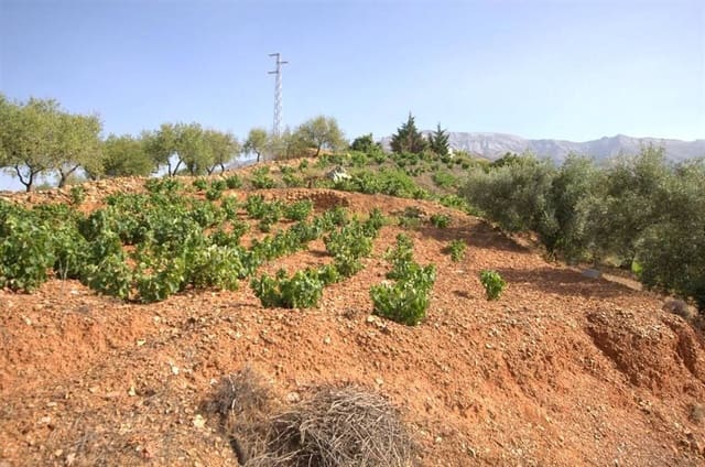 Terre non Aménagée à vendre à Sedella - 46 000 € (Ref: 10075774)