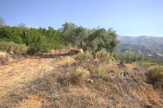 Terre non Aménagée à vendre à Sedella - 46 000 € (Ref: 10075774)