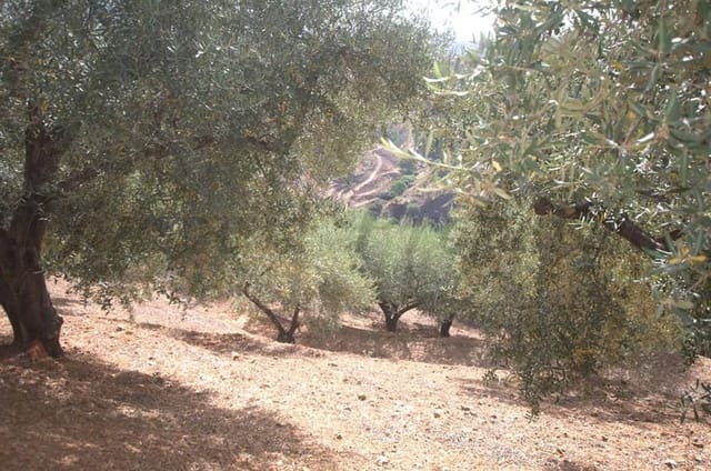 Terre non Aménagée à vendre à Sedella - 46 000 € (Ref: 10075774)