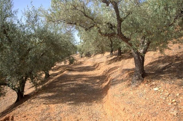 Terre non Aménagée à vendre à Sedella - 46 000 € (Ref: 10075774)