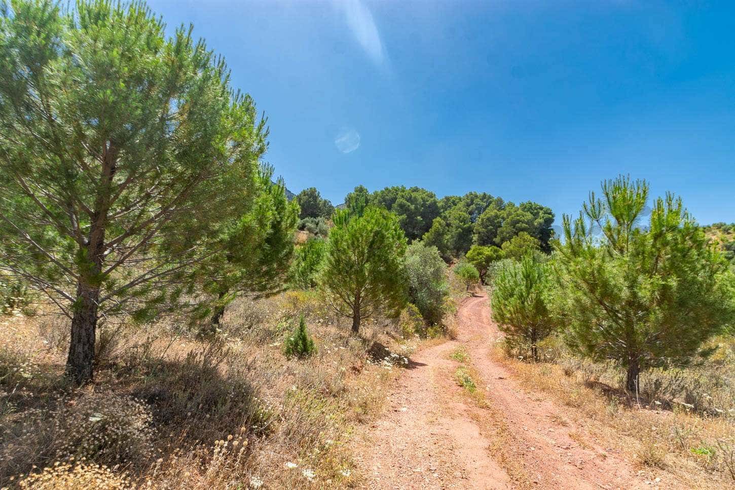 Landgrundstück zu verkaufen in Ardales - 57.500 € (Ref: 10075777)
