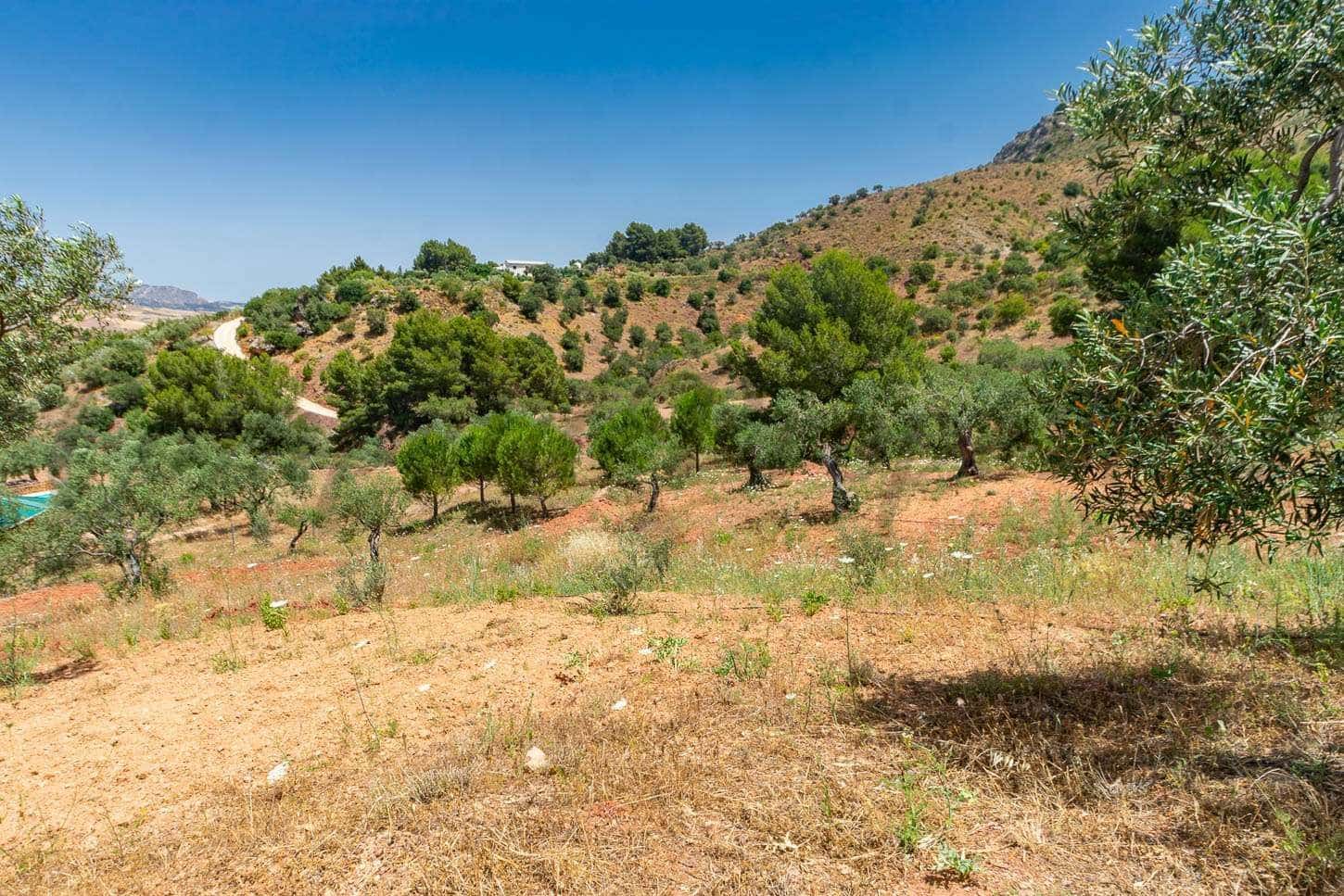 Landgrundstück zu verkaufen in Ardales - 57.500 € (Ref: 10075777)