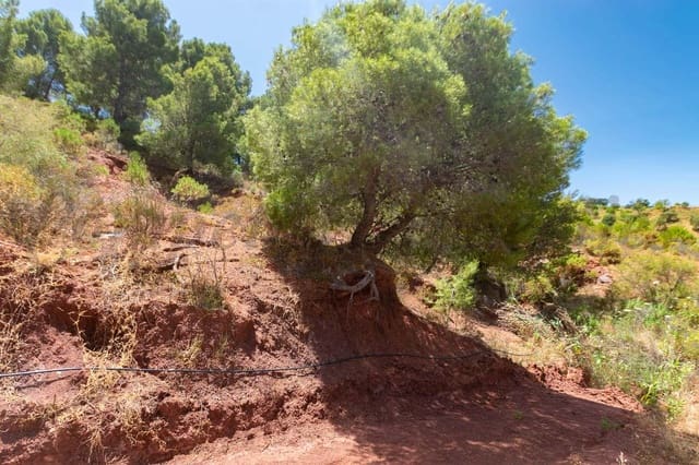 Landgrundstück zu verkaufen in Ardales - 57.500 € (Ref: 10075777)