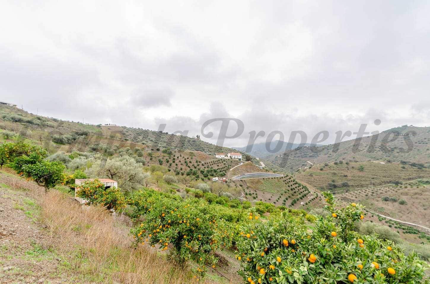 Landgrundstück zu verkaufen in Corumbela - 160.000 € (Ref: 10075779)