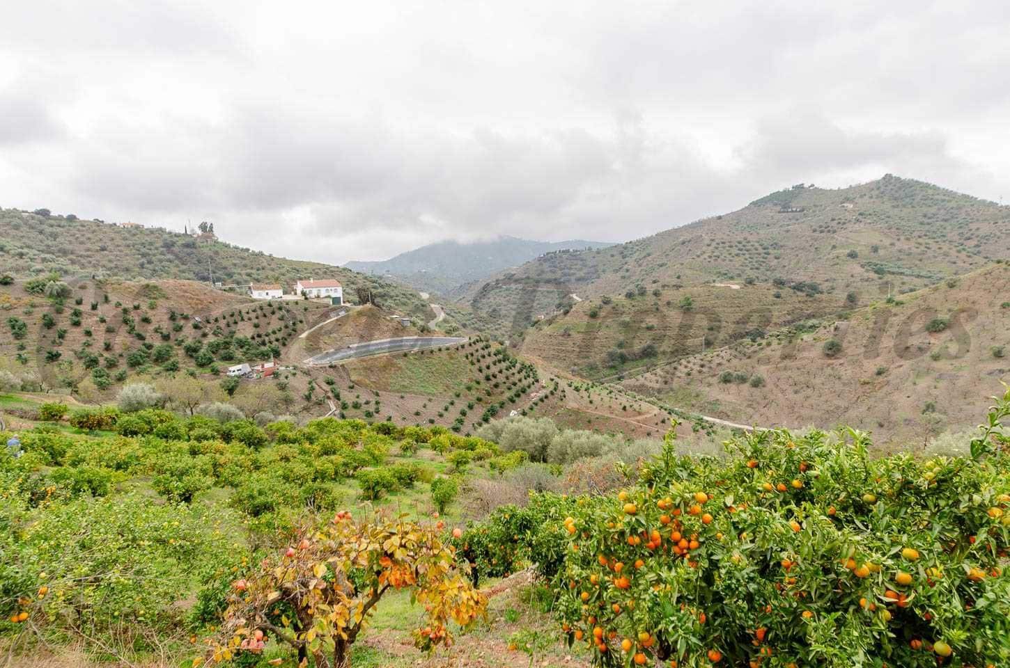 Landgrundstück zu verkaufen in Corumbela - 160.000 € (Ref: 10075779)