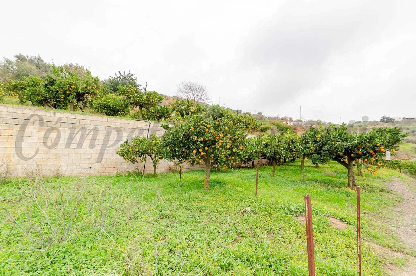Landgrundstück zu verkaufen in Corumbela - 160.000 € (Ref: 10075779)