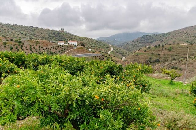 Landgrundstück zu verkaufen in Corumbela, Sayalonga - 160.000 € (Ref: 10075779)