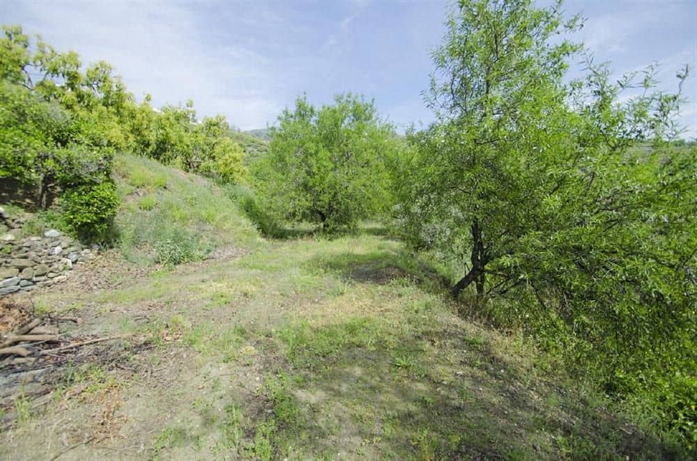 Undeveloped Land for sale in Canillas de Albaida - € 50,000 (Ref: 10075780)