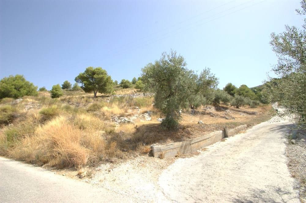 Grond te koop in Canillas de Albaida - € 65.000 (Ref: 10075782)