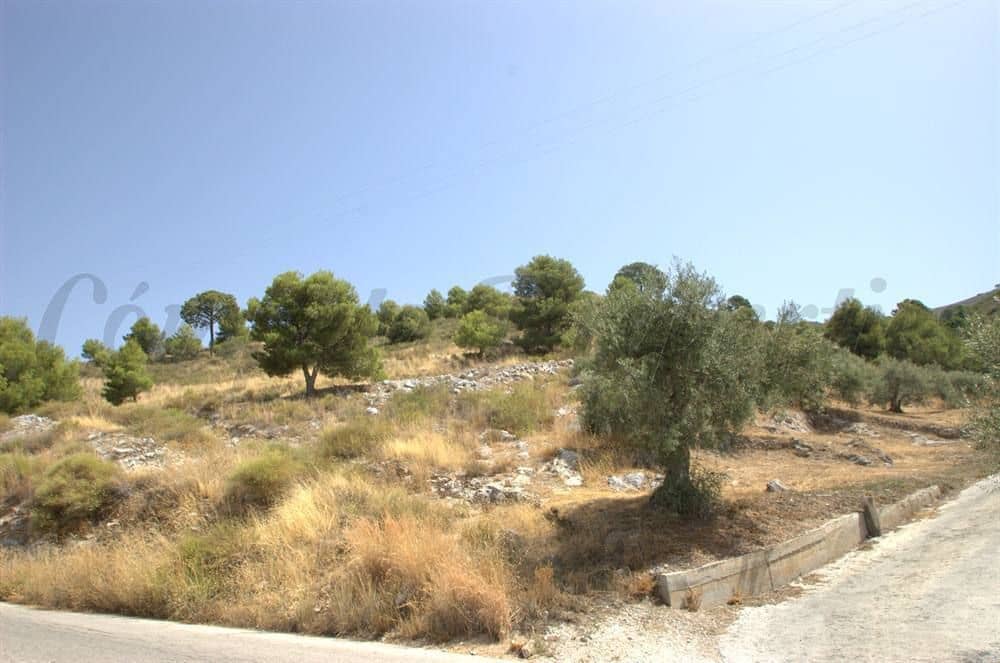 Grond te koop in Canillas de Albaida - € 65.000 (Ref: 10075782)