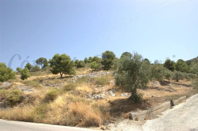 Terreno Não Urbanizado para venda em Canillas de Albaida - 65 000 € (Ref: 10075782)