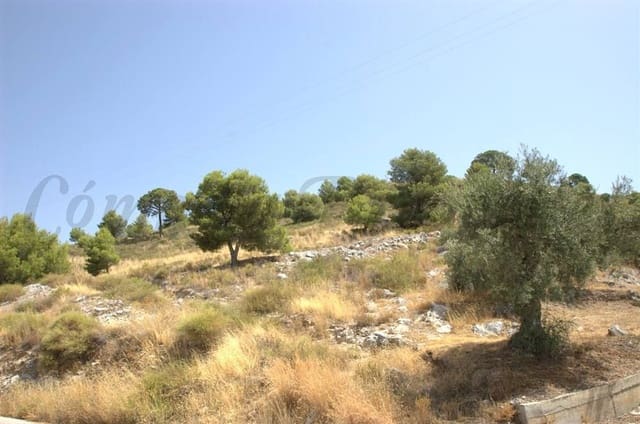Terreno Não Urbanizado para venda em Canillas de Albaida - 65 000 € (Ref: 10075782)