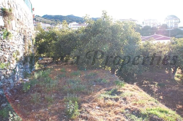 Terrain à Bâtir à vendre à Canillas de Albaida - 188 000 € (Ref: 10075783)