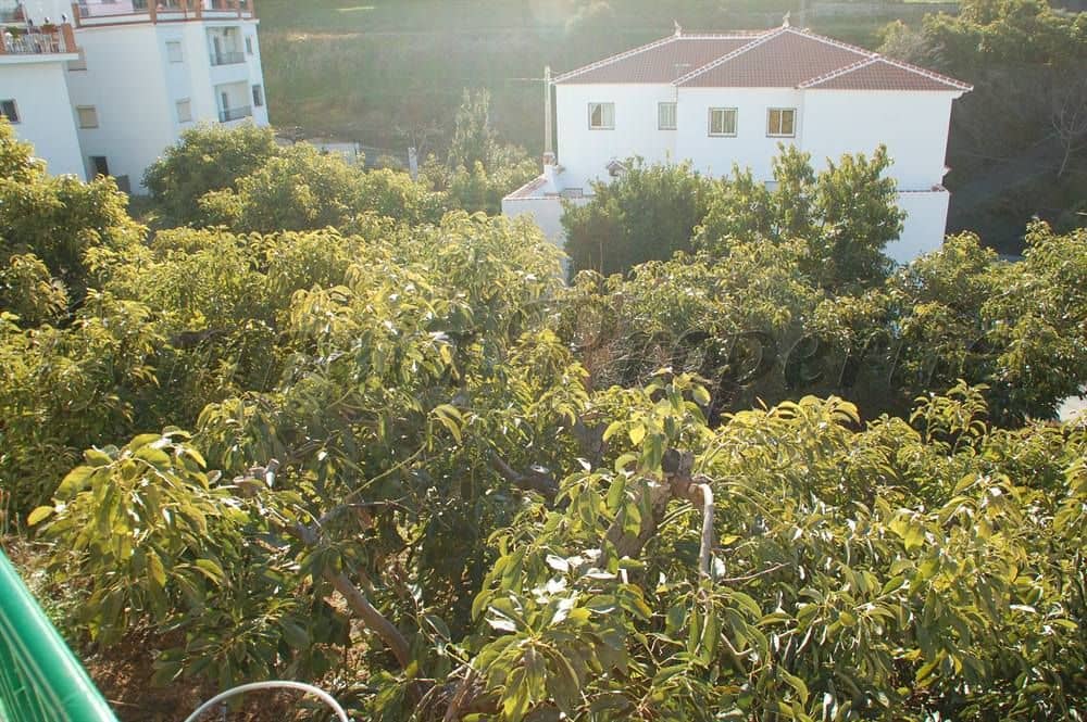 Byggegrund til salg i Canillas de Albaida - € 188.000 (Ref: 10075783)