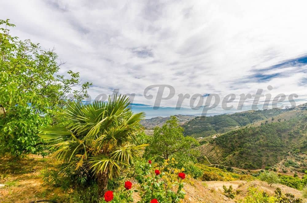 3 chambre Finca/Maison de Campagne à vendre à Canillas de Albaida - 295 000 € (Ref: 10075785)