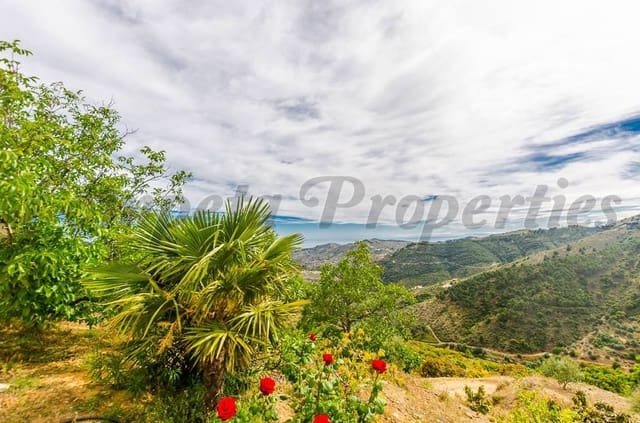 3 chambre Finca/Maison de Campagne à vendre à Canillas de Albaida - 295 000 € (Ref: 10075785)