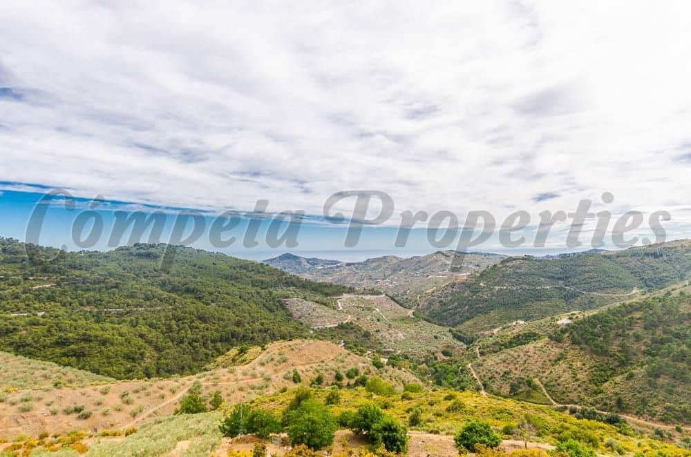 3 chambre Finca/Maison de Campagne à vendre à Canillas de Albaida - 295 000 € (Ref: 10075785)
