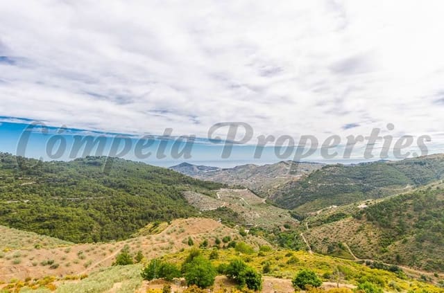 3 chambre Finca/Maison de Campagne à vendre à Canillas de Albaida - 295 000 € (Ref: 10075785)