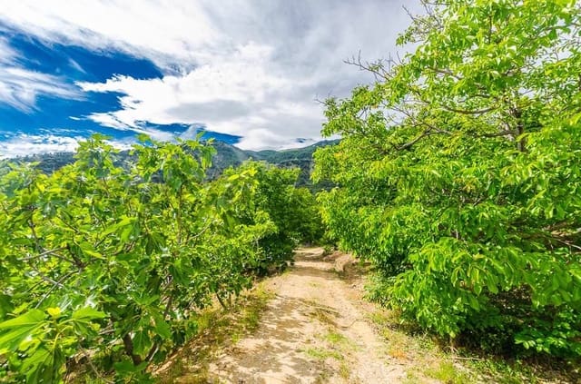 3 chambre Finca/Maison de Campagne à vendre à Canillas de Albaida - 295 000 € (Ref: 10075785)