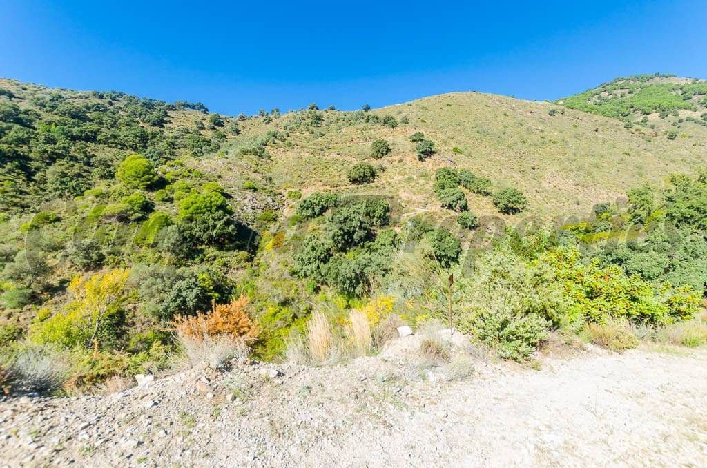 Ubebygd land til salgs i Canillas de Albaida - € 300 000 (Ref: 10075786)
