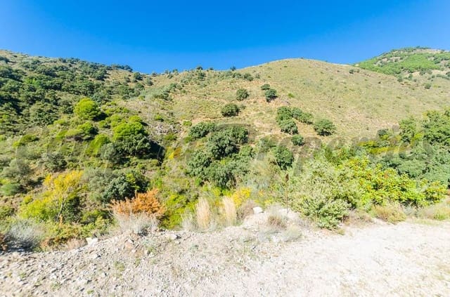 Terreno Não Urbanizado para venda em Canillas de Albaida - 300 000 € (Ref: 10075786)